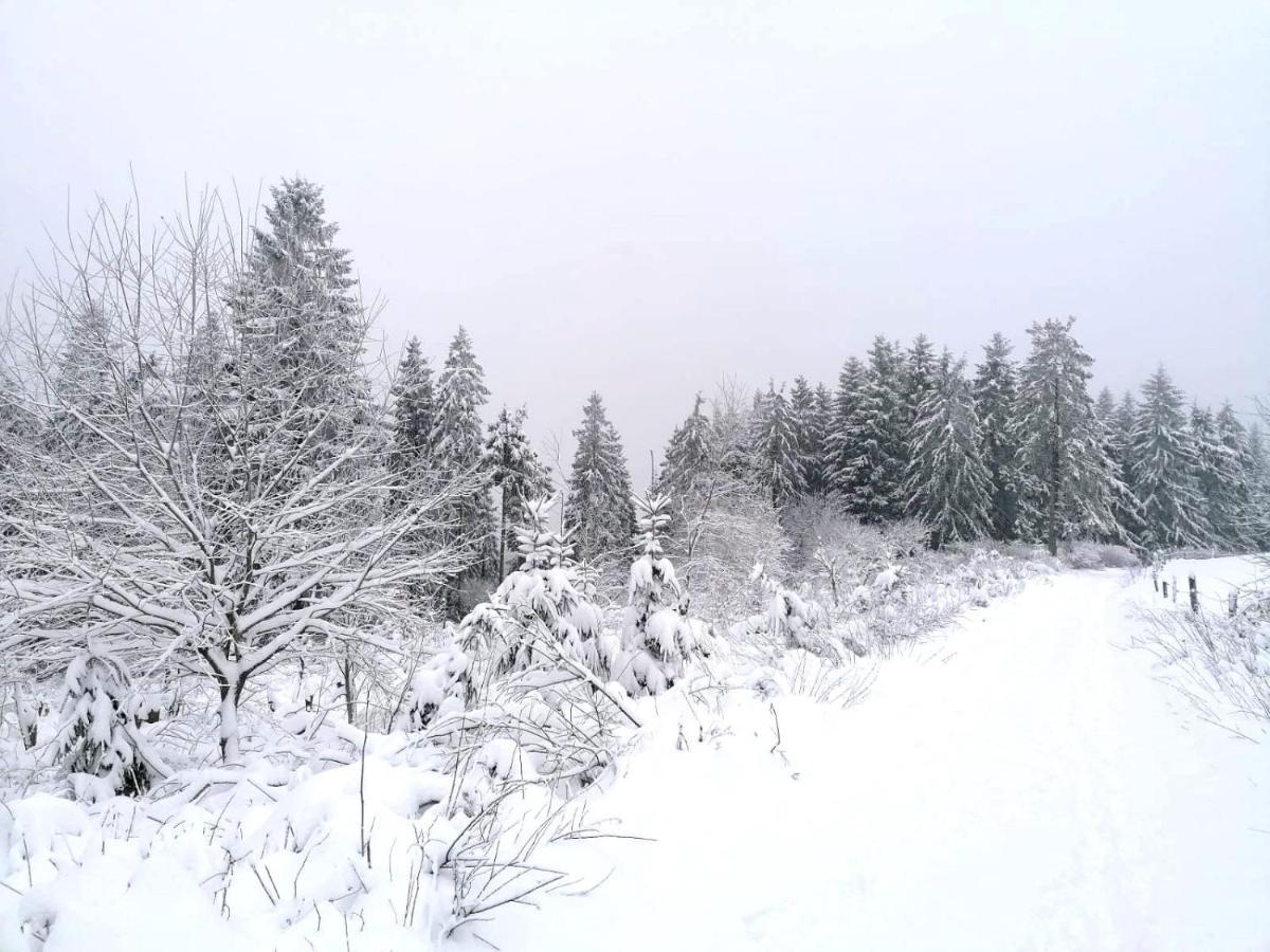 Haus Berchstein Bed & Breakfast Winterberg Exterior photo